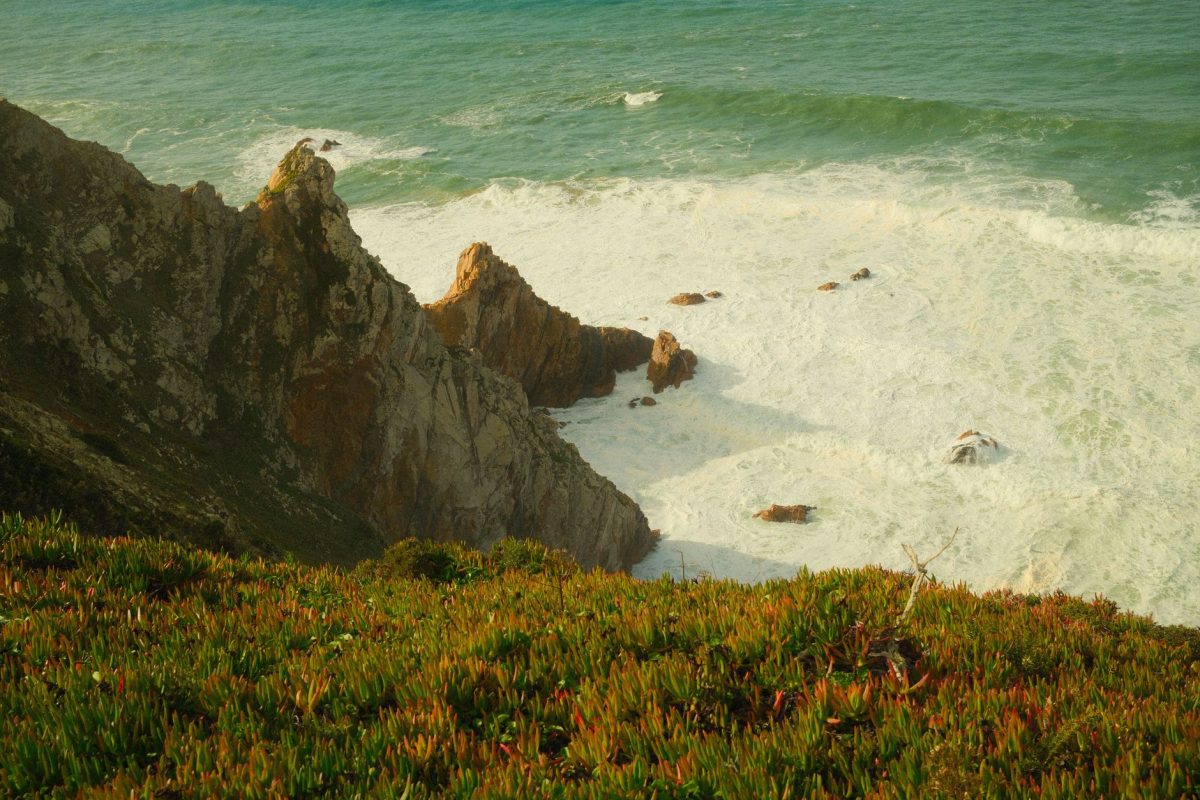 loja de perucas Costa da Caparica