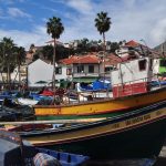 topper Câmara de Lobos